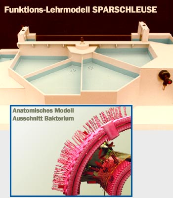 Lehrmodelle